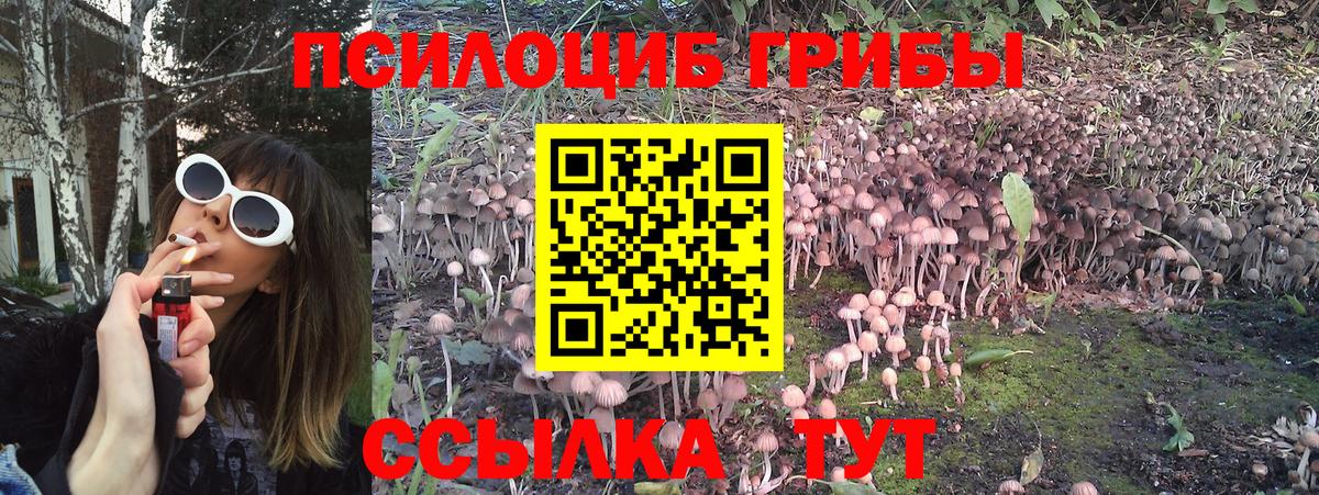 дарнет шоп  Вход с VPN  Галлюциногенные грибы Cubensis  Среднеуральск  Псилоцибиновые грибы Cubensis 